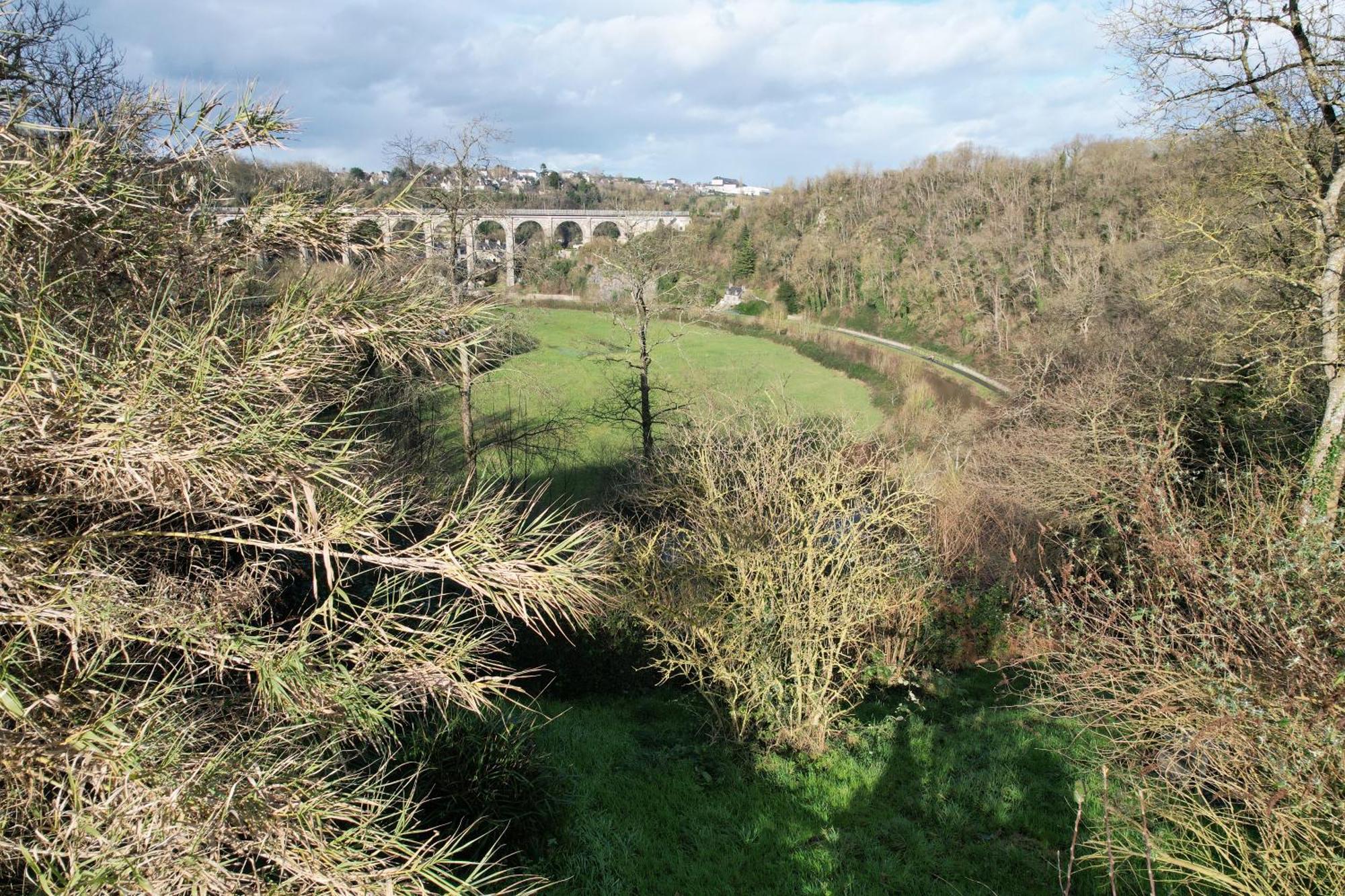 O Bois Dormant- Studio Vue Rance River Et Viaduc De Dinan Lanvallay Dış mekan fotoğraf